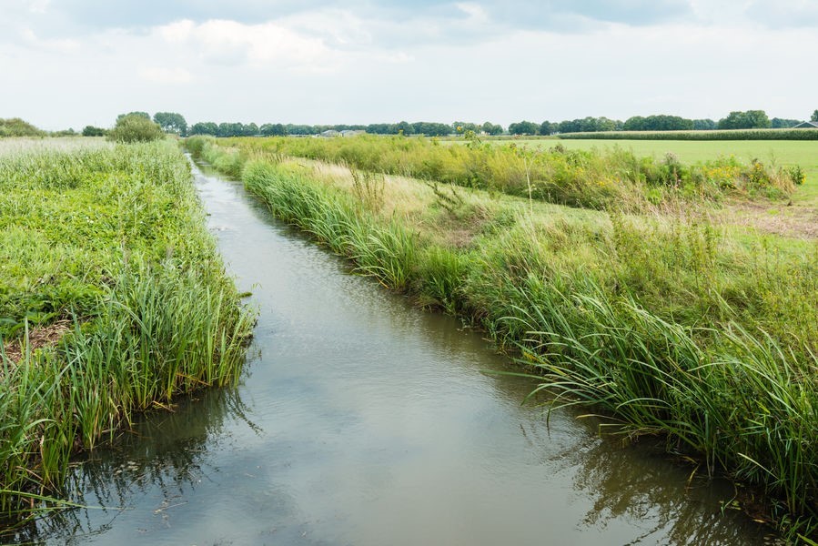 Agrarisch natuurbeheer  