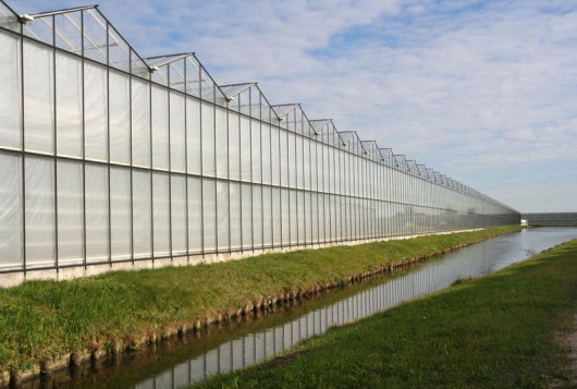 (Glas)tuinbouw