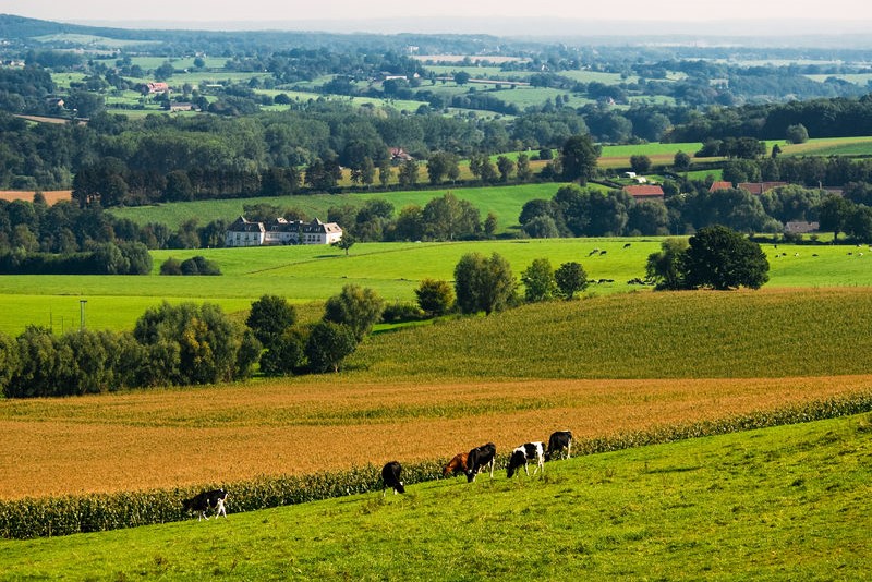 Natuur- en landschapsbeheer  